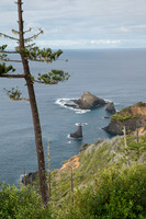 View to Bird Rock