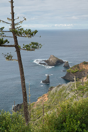 View to Bird Rock