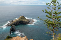 Bird Rock