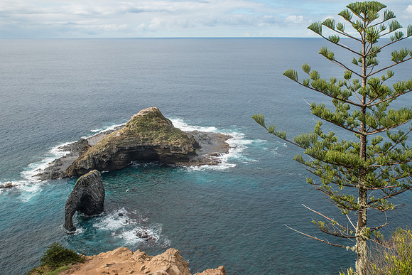Bird Rock