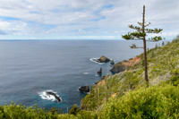 View to Bird Rock