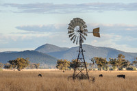 Country Scenery