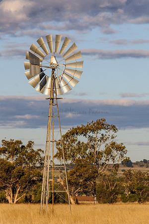 Dry Country