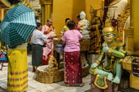 Shwedagon Pagoda