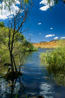 Misc SE NSW