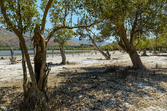 Danau Mati