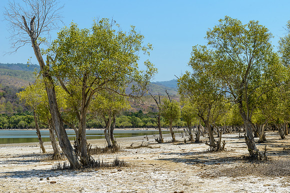 Danau Mati