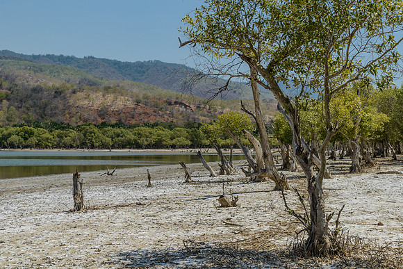 Danau Mati