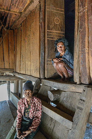 Traditional House