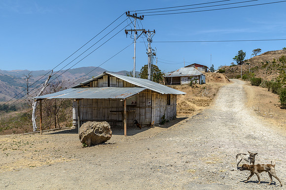 Village Hut