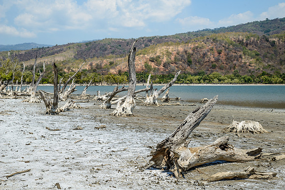 Danau Mati