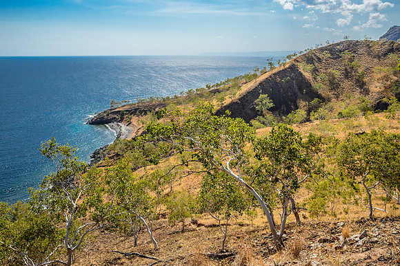 Timor Leste Coastline